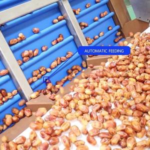 Quality External Defect Detection 1.4 Tons per Hour 6-Lane Palm Dates Sorting Machine for sale