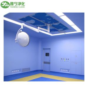 Clean Room HEPA Ceiling Mounted Suspended Laminar Air Flow Unit For OT Room