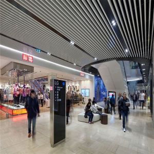 25x100 Aluminum Linear Ceiling U Shaped Metal Baffle Ceiling