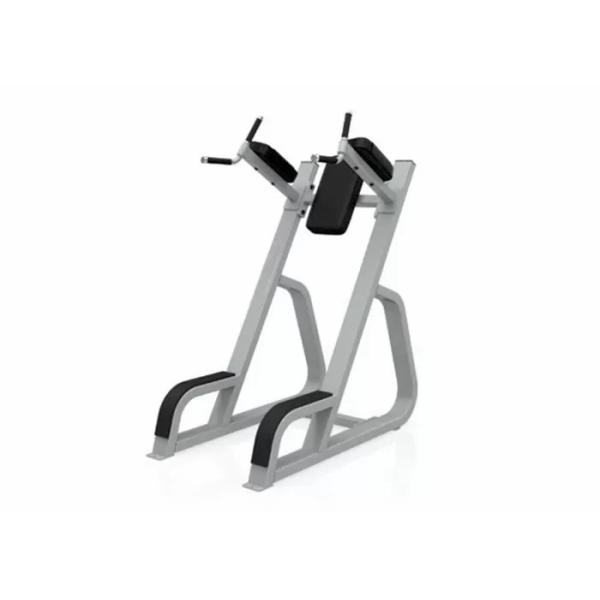 Buy Q235 HS Gym Equipment Strength Gym Online Leg Raise Exercise at wholesale prices