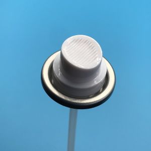 25.4mm Stainless Steel Spring Spray Paint Valve with Inner Gasket Buty U-133