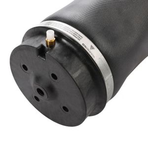 1643200825 ML-Class Rear Air Suspension Spring W164