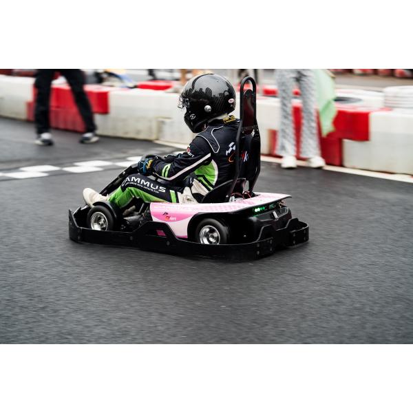 Children Electric Professional Racing Go Kart 4130 CrMo Frame 120km/h