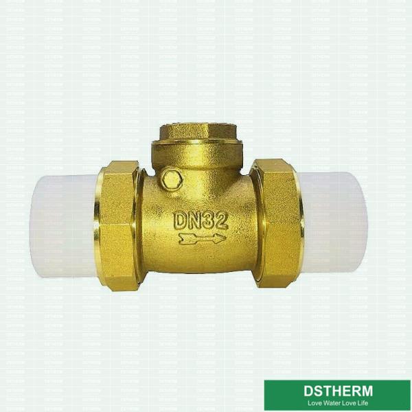 Buy 32mm DIN Drinkable Water Ppr Brass Body Check Valve at wholesale prices