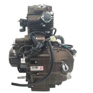 DAYANG 250cc Super Cool Motorcycle Engine Single Cylinder 4 Stroke Style