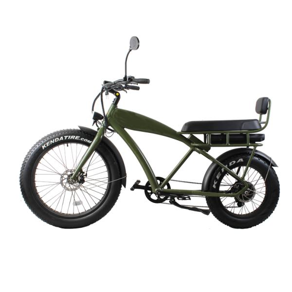 DOMANCA Standard Fat Tire Electric Bike with 2 Seat Lithium Battery Power Supply