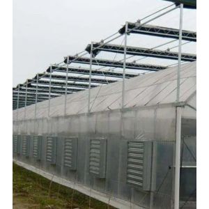 Initial Payment Large Pepper and Flower Hydroponic with Film Greenhouse Full