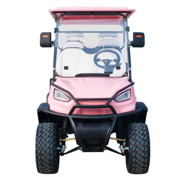 48V Sensor Smart Type Fashionable Modern Golf Cart With Audio System for 6 Passengers