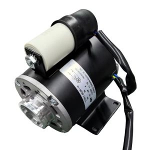 Bialetti bevergae vane pump motor 180w 60Hz with Mounting Feet IEC And DIN42673