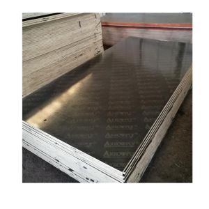 Construction Two Times Hot Press 4x8 Plastic Film Faced Ply