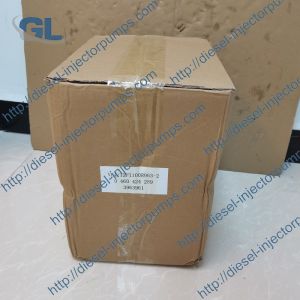 Good Quality Diesel Fuel Common Rail Fuel Injection Pump 0460424289 3963961 VE4