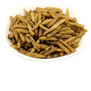 Quality Crispy Dried Black Soldier Fly Low Fat Nutritional Value for sale
