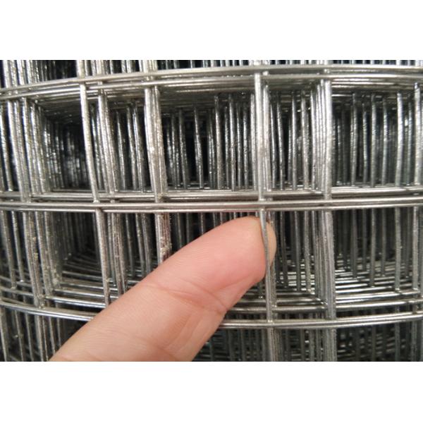 Hot - Dipped Galvanized Welded Wire Mesh For Animal Cage Structuring