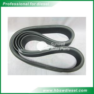 KTA38 engine Belt, V Ribbed 3003341