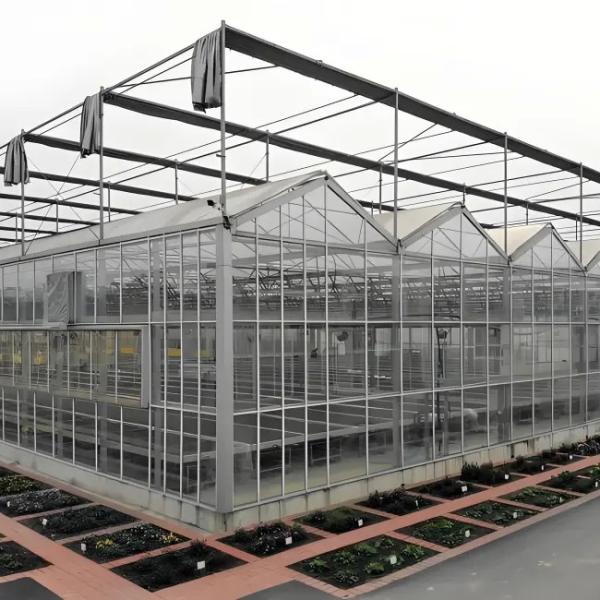 Modern Venlo Glass Greenhouse for Gerbera Daisy Cultivation