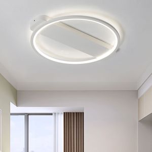 Fore Round Shapes ceiling lights for indoor home Lighting Fixtures (WH-MA-99）