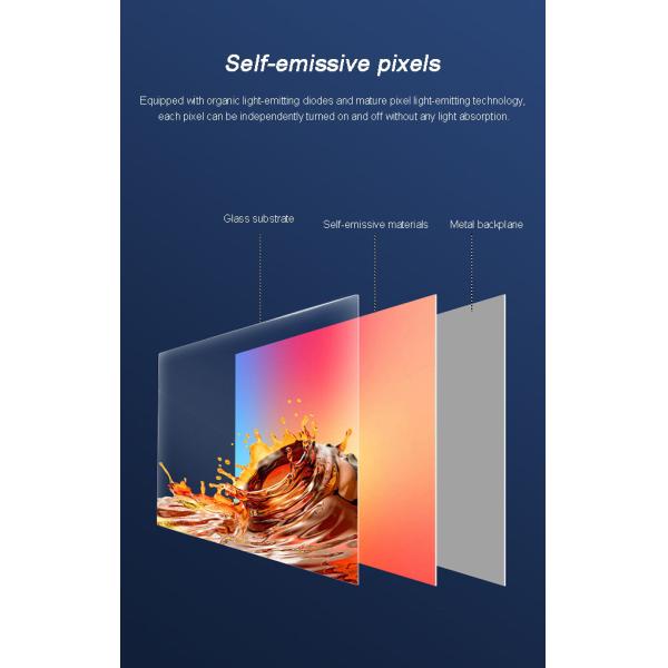 White 65 Inch Transparent OLED Display Commercial Use Translucent OLED