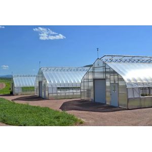 Hot Dip Glavanized Steel Polytunnel Greenhouse 10X30m Single Span