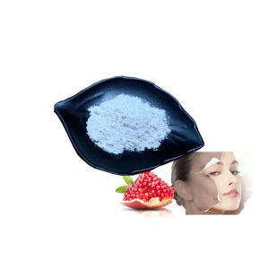 China Cosmetics Grade 99% Pomegranate Extract Ellagic Acid Skin Whitening on sale