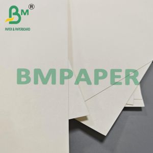 210gsm 230gsm Biodegradable Hot Coffee Tea Cup Paper Raw Material