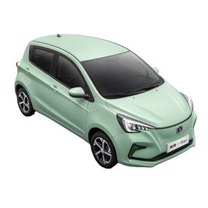 2023 Mini Car Electric Adult CHANGAN E-Star BenBen The Perfect Combination of