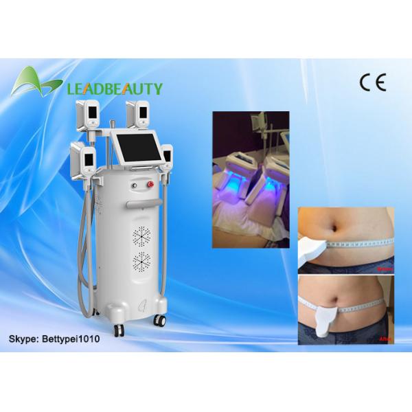 Buy 0kPa-100kPa cryolipolysis apparatus and weight loss machine cryo lipolysis at wholesale prices
