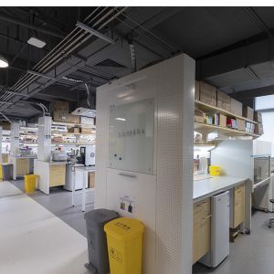 Nicotinamide Riboside Hydrogen Malate NRHM NAD+ booster Bulk Powder Wholesale