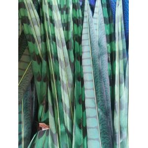 Carinval Costumes Decoration Fake Reeve Pheasant Feather