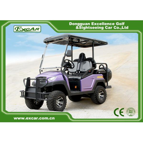 Buy EXCAR Electric Hunting Buggy With Trojan Battery/Curtis Controller at wholesale prices