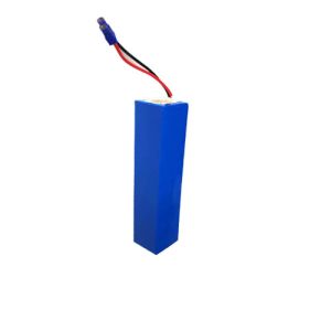 Electric Sea Scooter 5Ah 24V Lithium Ion Battery Pack Built In BMS
