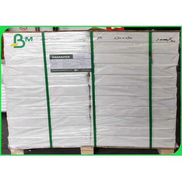 Thermal Synthetic Paper