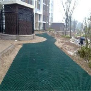 PP Grass Paver Grid 38mm 48mm 68mm Height for Parking Lot Driveway HDPE