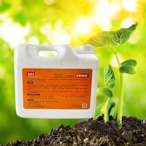 Quality Green Food Grade Water Soluble Fertilizer For Vegetables for sale