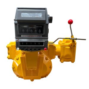 Quality M-100-NX-1 PD Flow Meter with Preset Register &amp; Ticket Printer for sale