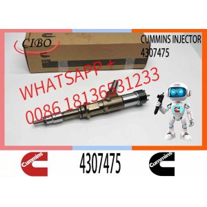 Diesel Fuel Injector Common Rail Injector For Scania ISG XPI 2872544, 4307475,