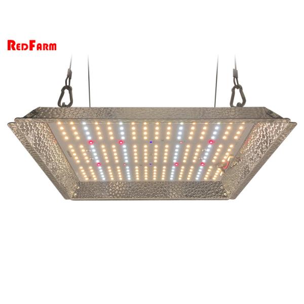 Buy 2x2 3x3 100w LED UV IR Daisy Chain Grow Lights at wholesale prices