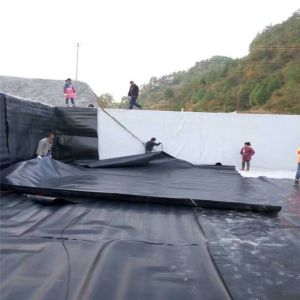 Geomembrane Pond Liner 0.5mm 1mm 1.5mm 2mm HDPE LDPE Lldpe PVC EVA Geomembrane