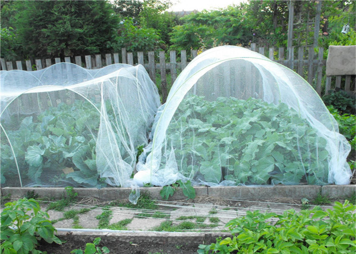 Quality Horticulture Hdpe Fly Screen Mesh Agriculture Growing Insect Proof Network 40 Mesh for sale