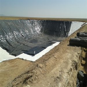 Professional HDPE Geomembranes for Landfill and Fish Farming Applications