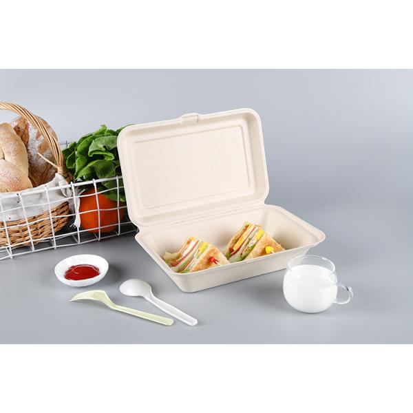 Contenedor Fibra envases Biodegradable Disposable Sugarcane Bagasse Paper Bamboo Hamburger Burger