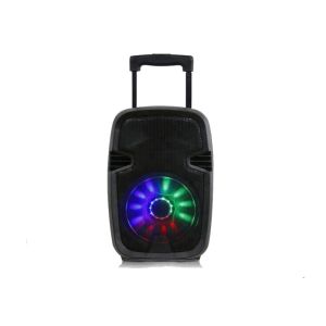 Active Battery Rechargeable Portable Trolley Speaker With Wheels 10 Inch