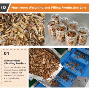 Automatic Instant Foodstuff Multihead Weigher Packing Machine Premade Bag Food