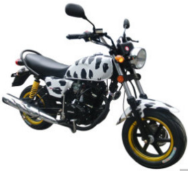 Motorcycle (GW150-5D)
