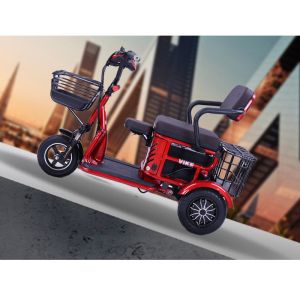 Small Household Leisure Electric Tricycle 2 Seater Small