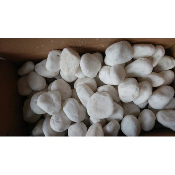 Hot Products Snow White Pebble Stone,Tumbled White Pebble & Natural Pebble Stone