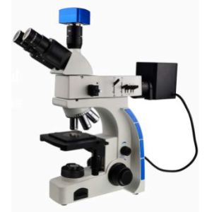 Quality WF10X 20mm Eyepiece Binocular Trinocular Metallurgical Microscope 80X 20X for sale