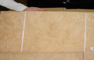 China White Ash Burl Wood Veneer Sheets for Crafts , Natural Wood on sale