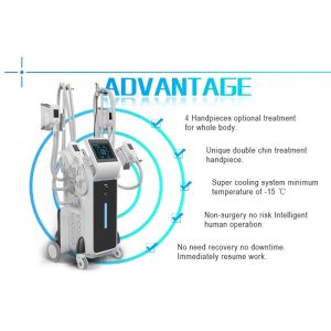 manufacturer best price professional strong cooling 4 head cryolipolysis machine