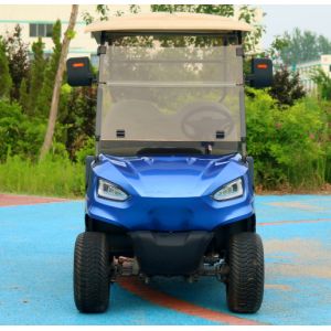 Blue 2 Seater Electric Golf Cart With 48v 4kw Motor Durable Roof And Comfortable