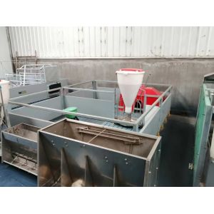 Pvc Panel Pig Farrowing Crate